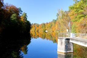 Stuttgart Pfaffenteich Lake Bear