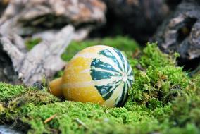 Pumpkin Decoration Small