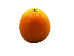 juicy colored fruit
