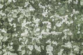 background, green-white fabric