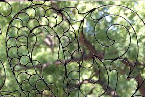 Desktop Nature Flora