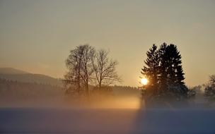 Sunset Fog Nature