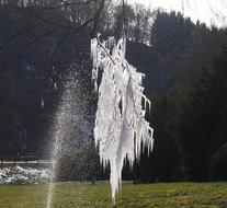 Tree Landscape Nature