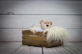 Teddy Inside Box