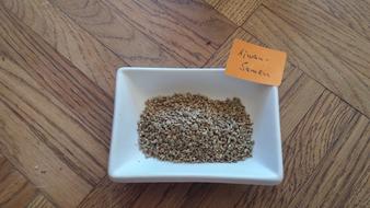 Aromatic spices in a plate