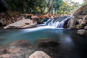 Water Nature Stream