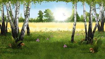 Landscape Forest Birches