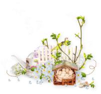 Spring Flower Crocus