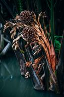 Abstract Art Autumn