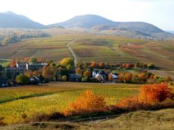 Landscape Hill Nature