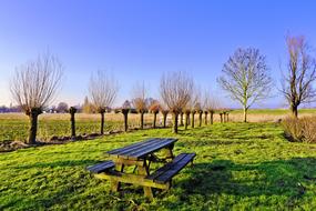 Picnic Table Bench Resting Place