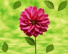 Flower Green Background