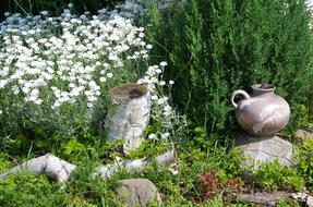 Nature Garden Spring