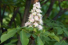 Abstract Spring Nature The