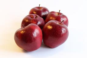 crop of red apples on a white background