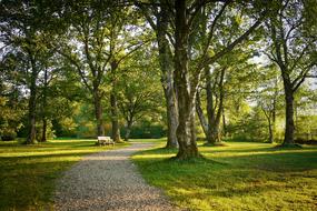 Tree Nature Instructions