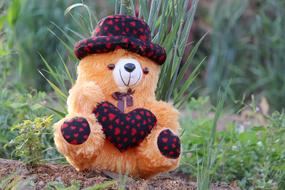 Nature Teddy Bear T