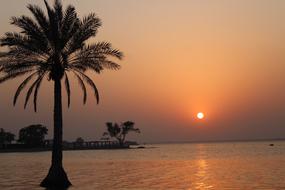 Sunset Tropical Sun