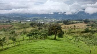 Nature Landscape Lawn