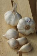 Juicy delicious garlic