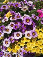 pink flowers and yellow flowers in a bouquet