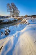 Nature Winter Snow
