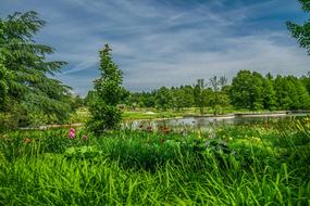 Nature Landscape Grass