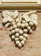 grape dough