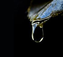 Nature Bright Drop