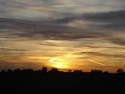 Sunset Sky over forest Silhouette