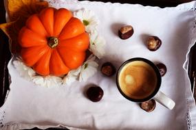 beautiful colorful interior on the table