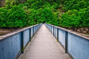 Bridge River Landscape