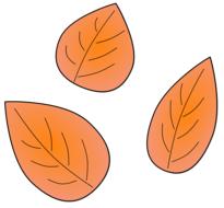 leaves plants autumn leaf tree