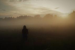 The Fog Sunset Dawn Family