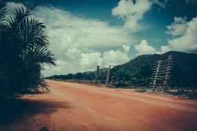Nature Borneo Sawit