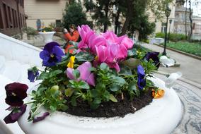 Flowers Flower Bed Garden Summer