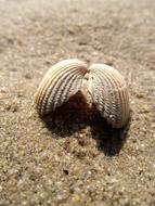 Sand Beach Coast