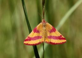 Nature No Person Outdoor