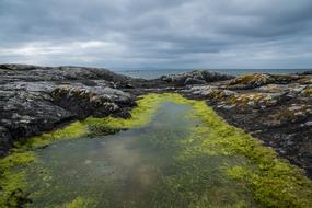 Nature Water Landscape