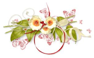 Spring Summer Flowers