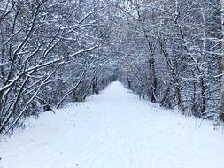 snowy cold weather
