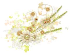 Spring Summer Flowers