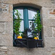 residential House Window facade