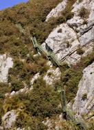 Scale Mountain Excursion