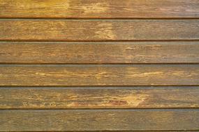 Wood-Fibre Boards Wood
