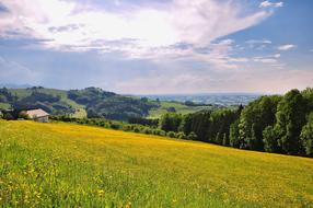 Nature Landscape Meadow