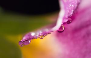 Drip Ultrmakro Macro Drop Of