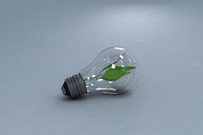 Incandescent Lamp Nature