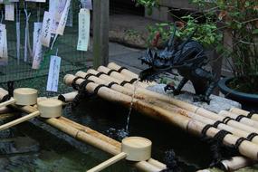 dragon fountain at home