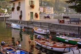 Porto Boats Colorful